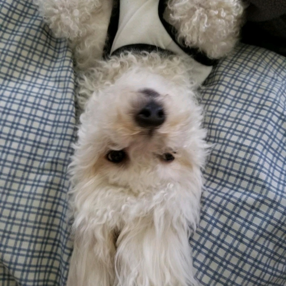 Meet your Posher, Cathy